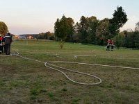 FFW Leistungsabzeichen 3